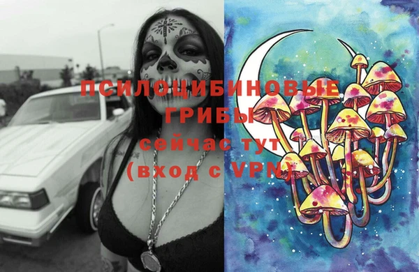 apvp Бронницы