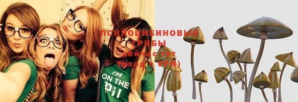apvp Бронницы